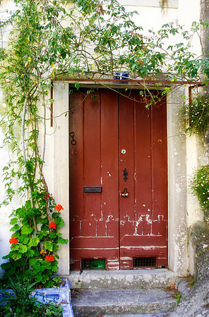 Portugal Door-2