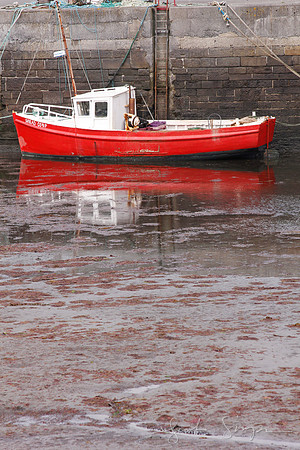 2011 Ireland-2