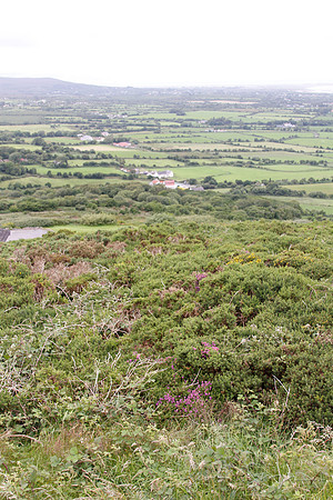 2011 Ireland-29