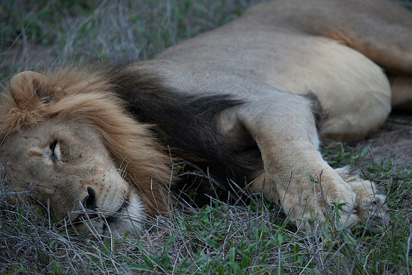 2014 South Africa-30