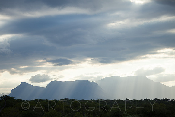2014 South Africa-10