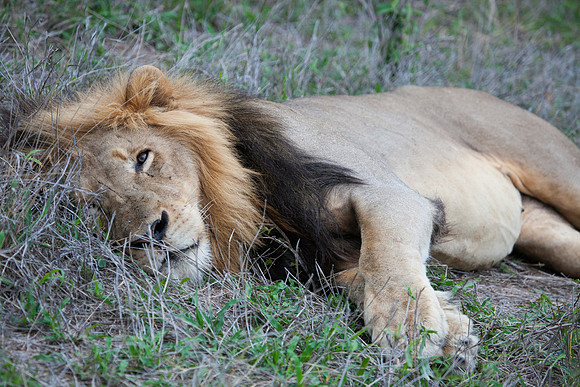 2014 South Africa-23