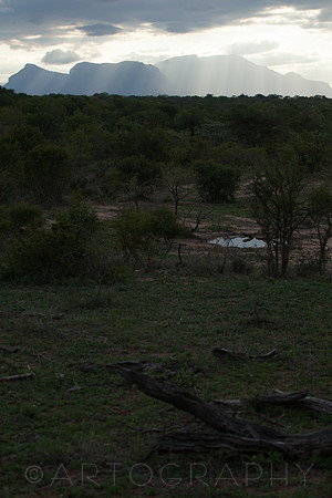 2014 South Africa-12