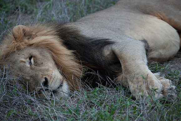 2014 South Africa-31