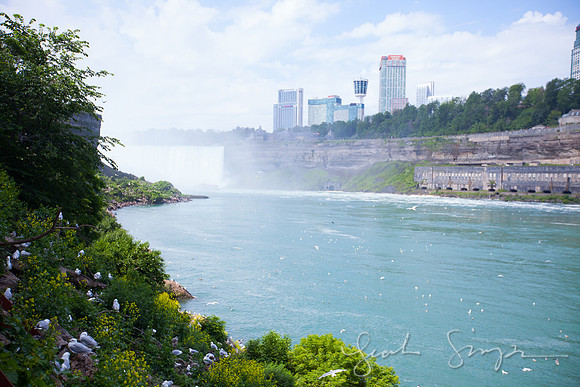 2017 Niagra Falls Negs-4