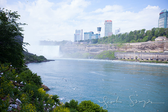 2017 Niagra Falls Negs-5