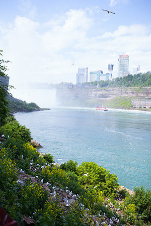 2017 Niagra Falls Negs-6