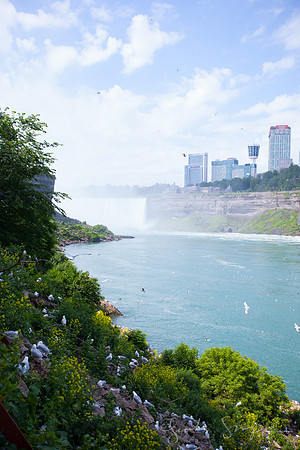 2017 Niagra Falls Negs-2