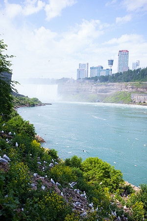 2017 Niagra Falls Negs-3