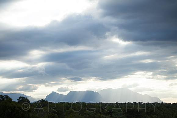 2014 South Africa-9