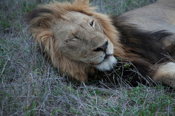 2014 South Africa-33