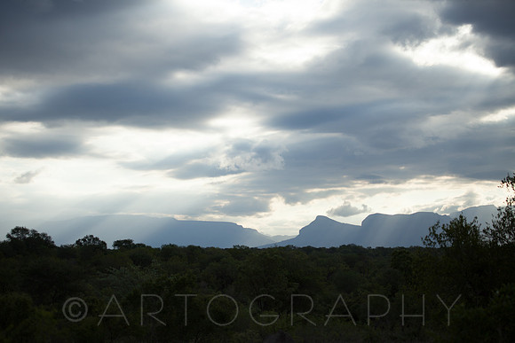 2014 South Africa-5