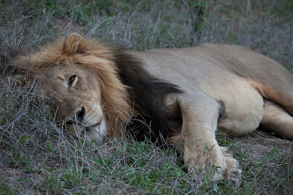2014 South Africa-23