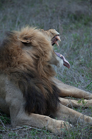 2014 South Africa-34