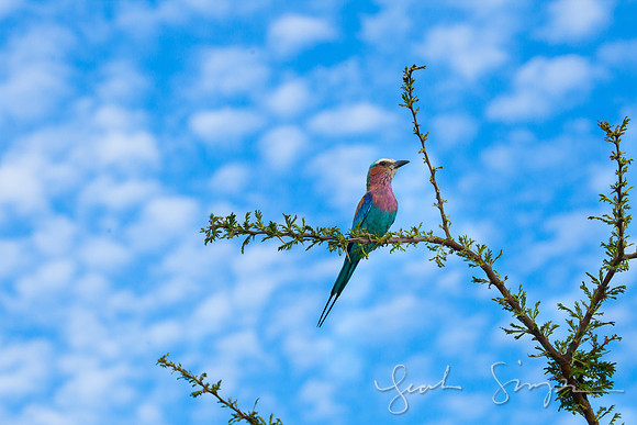2014 South Africa-586