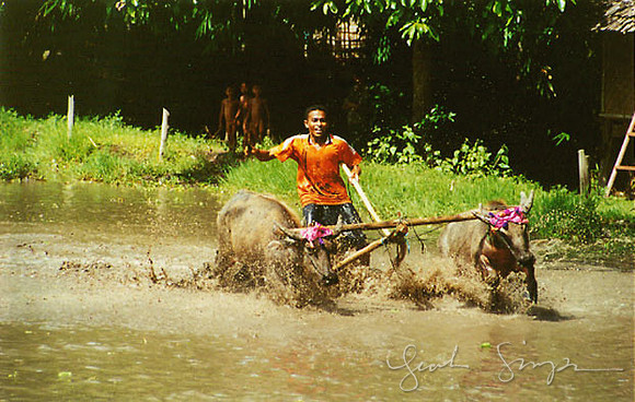 12-Indonesia-2