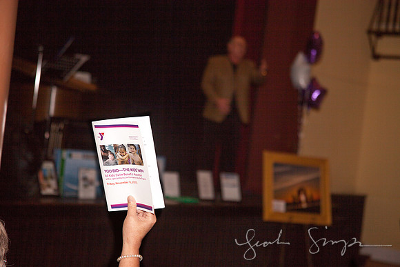 2013 Y Auction-37
