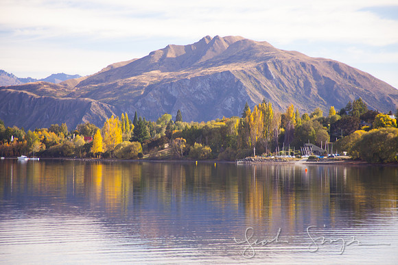 2014 New Zealand-623